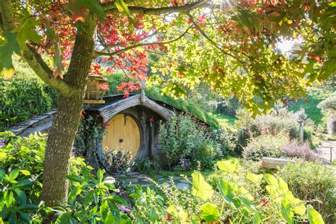 A Grown-Up’s Guide to Hobbiton, New Zealand | Vogue