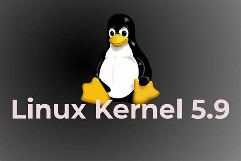 Linux Kernel 5.9 released - Dade2