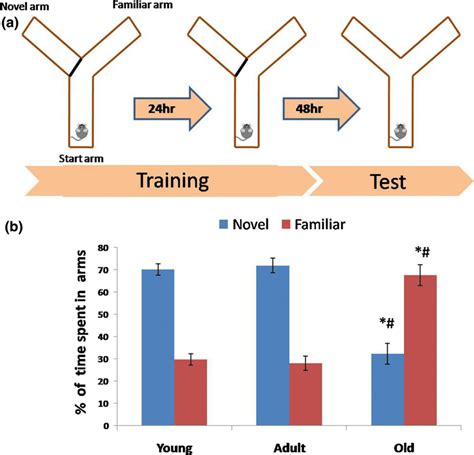 Y Maze test during aging: a experimental design and b % of time spent... | Download Scientific ...