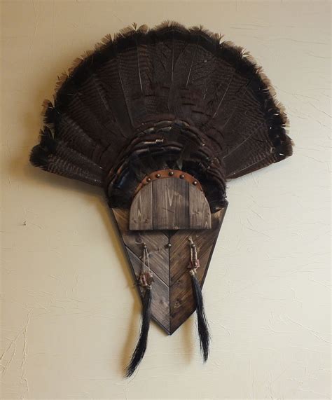 Dark Walnut turkey fan mount | Harvest Plaques-Turkey fan mounts | Pinterest | Dark walnut, Wild ...