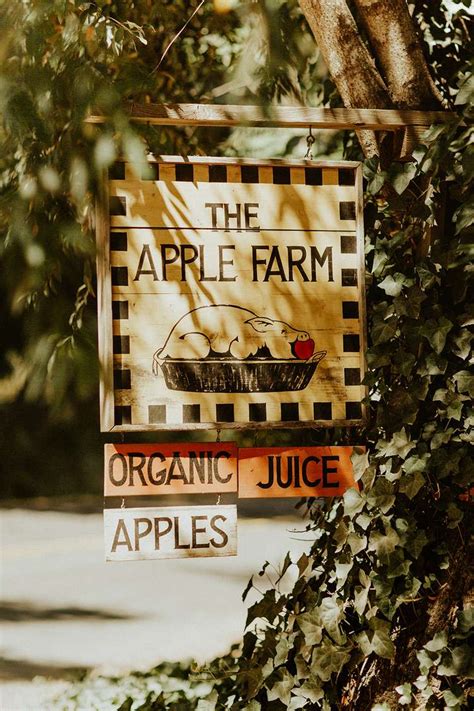 A Late Summer Wedding at a California Apple Farm