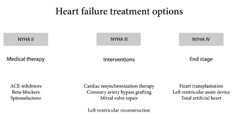 Heart failure treatment options. | Download Scientific Diagram