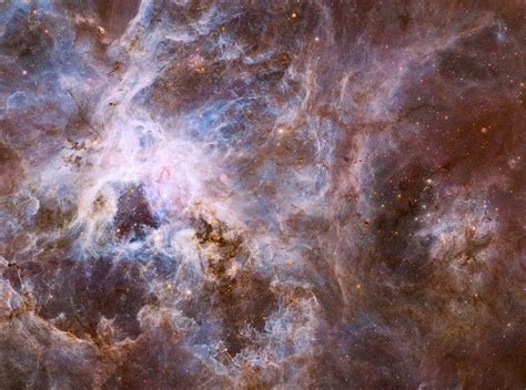 Tarantula Nebula - AstroMadness.com