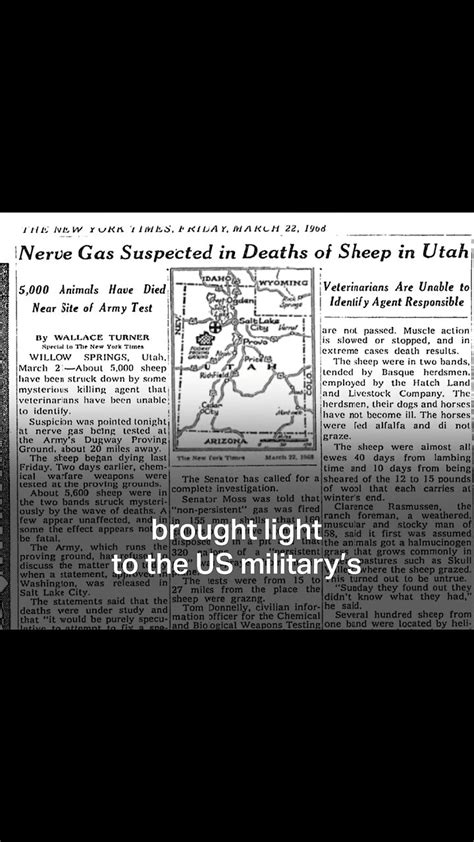 The Dugway Sheep incident Of March 1968 Now they Crash Trains Instead ...