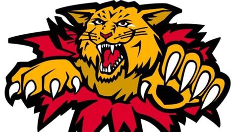 Moncton Wildcats hope for win as team nears record losing streak | CBC News