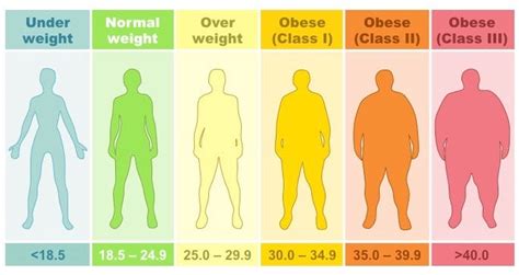 Levels of Obesity and Their Measure to Eliminate Obesity | by ILS Hospitals Bariatric Care | Medium