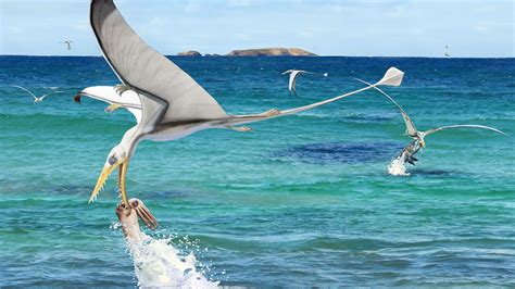 A squid fossil offers a rare record of pterosaur feeding behavior - T-News