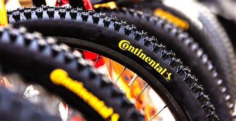 10 Best Electric and Standard Mountain Bike Tires for Road and Trail - E Mountain Bikes