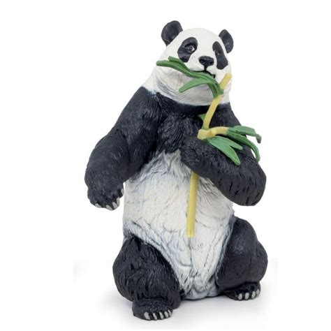 Oso panda comiendo bambú - La Extinción