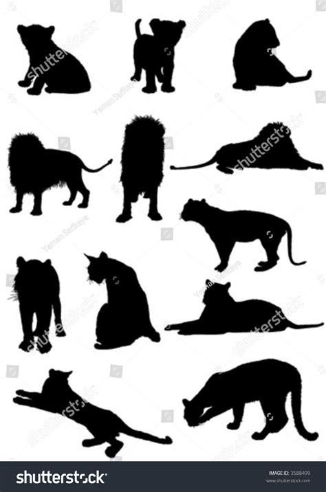 Vector Wildcats - 3588499 : Shutterstock