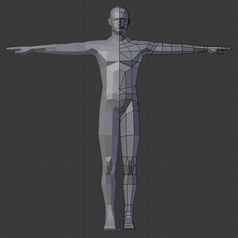 Human Female Base : Topology Aleksandr Novakov Blender Torso | Garnrisnet