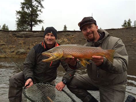 Montana Fly Fishing Report 10/6/16 - Wild Trout Outfitters