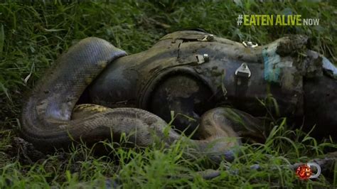 Paul Rosolie fails to get Eaten Alive by an anaconda on Discovery ...