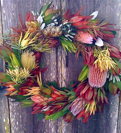 diggardensnurseary.com. Make succulent wreathes. | Christmas flowers, Christmas wreaths ...