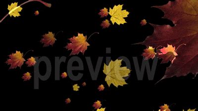Блог Колибри: Autumn leaves