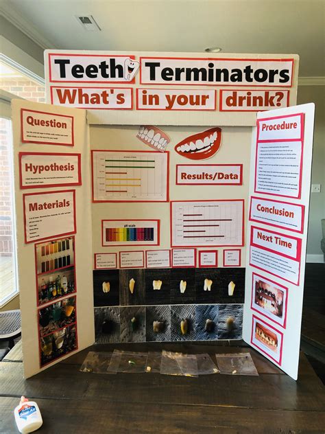 Science Fair Project Ideas For 9th Grade