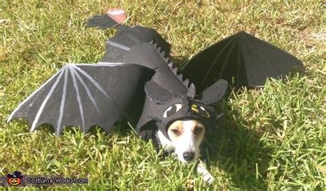 Toothless Dragon Dog Costume | Dog costume, Dogs and kids, Pet costumes