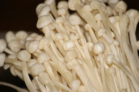 Subang Jaya and the World: Enoki Mushroom