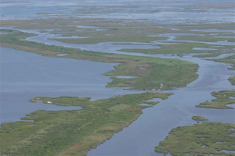 Free picture: aerial, marsh, swamp, landscape