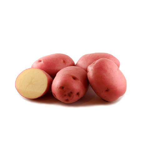 Organic Sebago Potatoes – Tropical