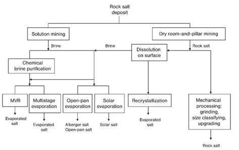 Processes for production of crystallized salt based on rock salt ...