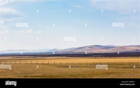 Autumn in Hulunbuir Stock Photo - Alamy