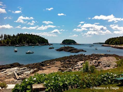 A Maine Scenic Gem: Five Islands Lobster Co. in Georgetown in 2021 | Maine beaches, Camping in ...