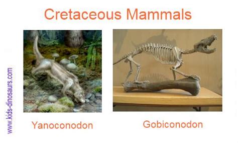 Cretaceous Animals - Facts for Kids