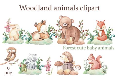 Woodland animals clipart. Forest cute baby animals clipart By Elenazlata_Art | TheHungryJPEG