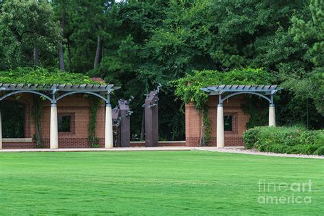 Town Green Park, The Woodlands, Texas Photograph by D Tao - Pixels