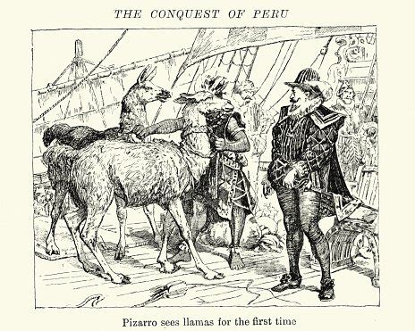 Conquest Of Peru - Francisco Pizarro Sees Llamas Stock Clipart ...