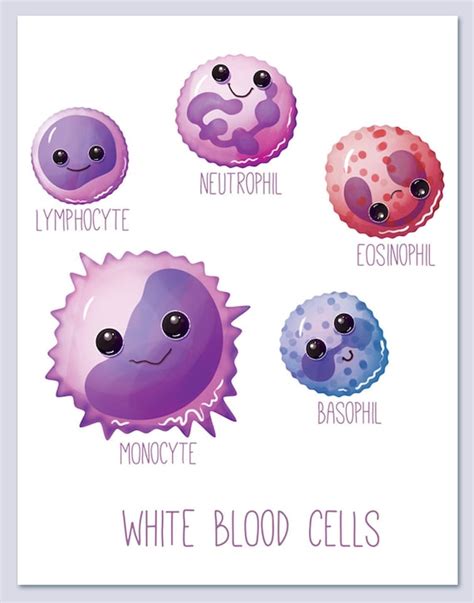 White Blood Cells / Wall art print / biology / cute / fun