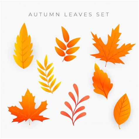 Free Vector | Set of orange autumn leaves