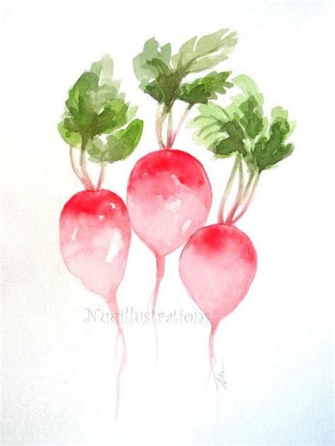 Radish ORIGINAL Watercolor Painting Kitchen Art Vegetable Garden ...