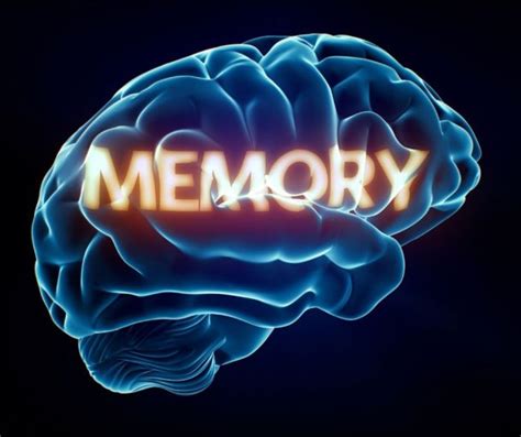 Memory Facts for Kids – How Your Brain Works