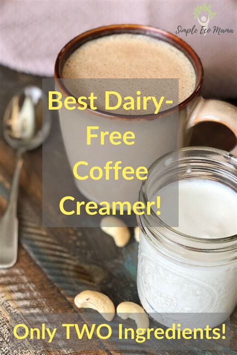 Best Dairy-Free Coffee Creamer - 2 Ingredient Cashew Cream! - Simple Eco Mama | Recipe | Dairy ...