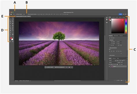 Adobe Photoshop workspace basics