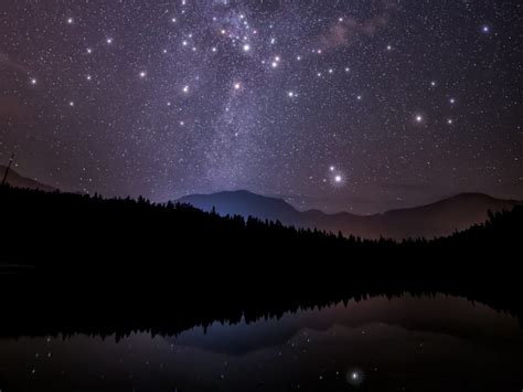 Starry Sky Trees Mountains Night Stars Forest Shine Sky 4k Wallpaper ...