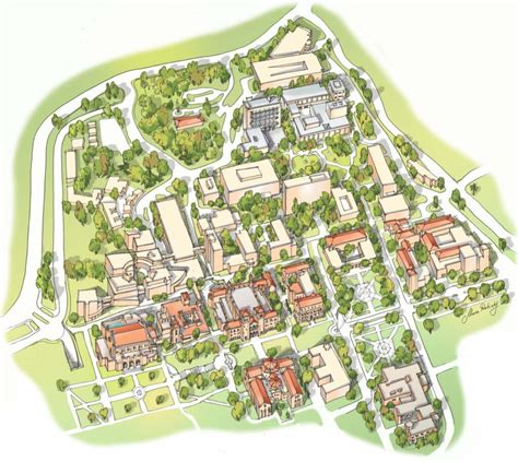 Campus map illustration - Illustrated Maps by Rabinky Art, LLC