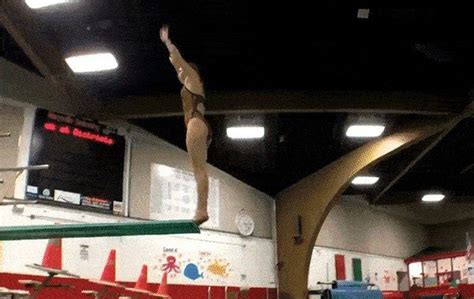 Fail Diving (10 gifs)