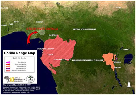 Western Lowland Gorilla Habitat Map