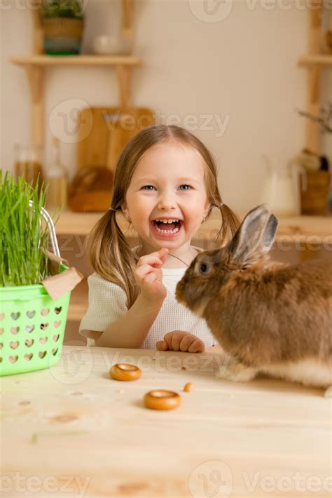 Cute little girl in the wooden kitchen of the house feeds the rabbit fresh grass 20484138 Stock ...