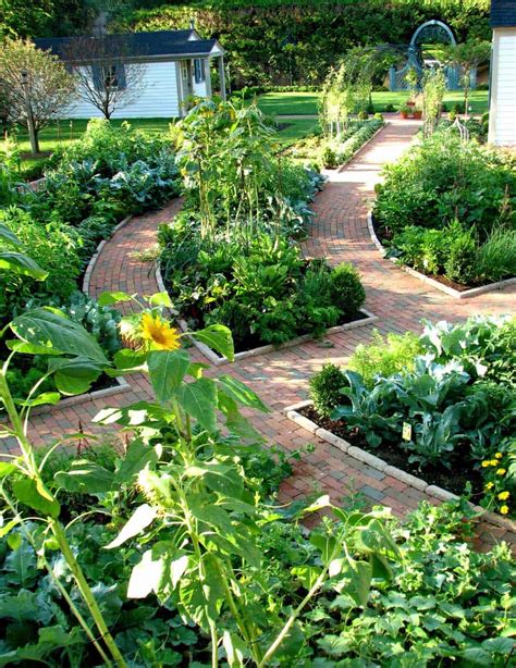 36 Amazing Ideas For Growing A Vegetable Garden In Your Backyard