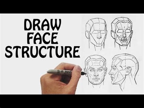 Learn How To Draw Face Structure | Draw Face Anatomy | Drawing Lessons ...