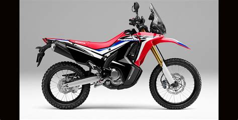 2017 Honda CRF250L Rally | First Look Review | Rider Magazine