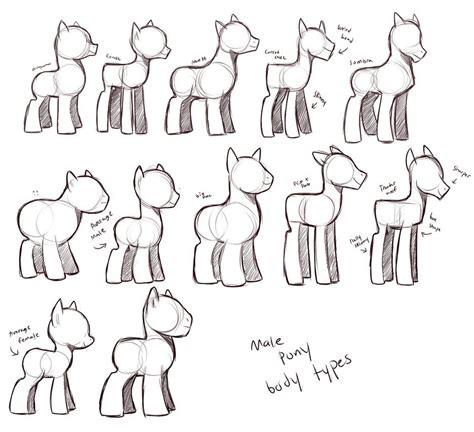 how to draw male pony - Google Search | Pony drawing, My little pony drawing, Mlp pony