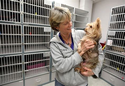 Coronavirus: Animal shelters empty cages, but still have pets to adopt