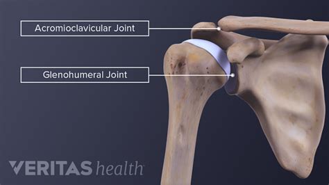 What is Shoulder Osteoarthritis (Glenohumeral Arthritis)? | Arthritis-Health