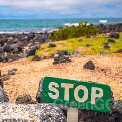 Galapagos Islands Conservation - A Fragile Paradise - GreenGo Travel