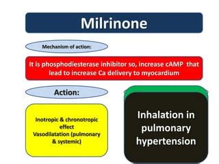 Vasoactive drugs | PPT